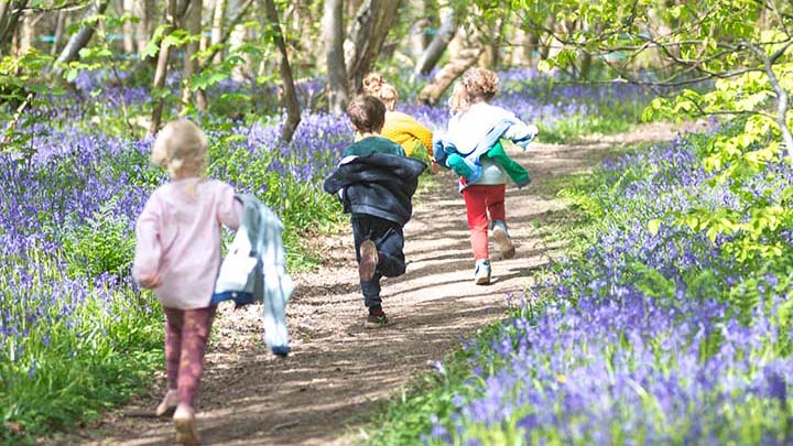 Kinder laufen einen von Bluebells gesäumten, sonnenbeschienenen Pfad entlang