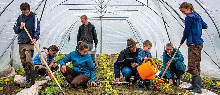Erwachsene und Kinder in einem Gewächshaus mit Gemüse