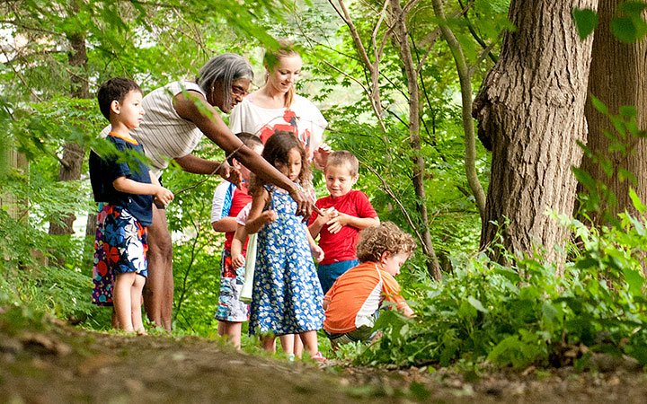 Eine Gruppe von Kindern mit Erziehungsfachkraft im Wald