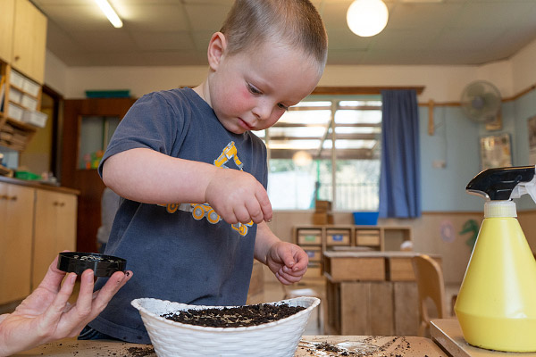 Junge streut Grassamen auf die Erde in einem Korb