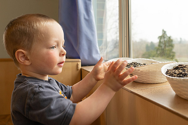 Junge am Fenster mit einem Korb mit Grassamen