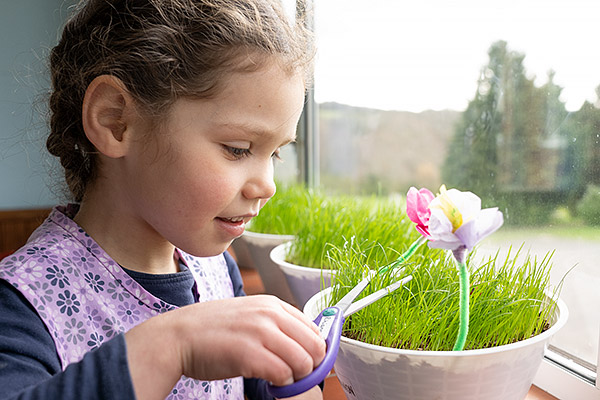 girl at window with grass seed basket