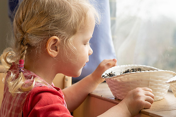 Mädchen am Fenster mit Grassamen-Korb