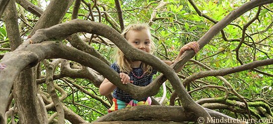 Ein Mädchen sitzt in einem großen Baum