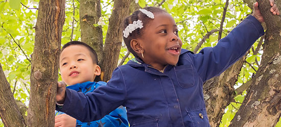 Zwei Kinder klettern auf einem Baum