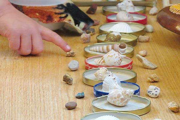 Muscheln und Kieselsteine zum Sortieren