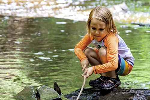 A pre-school age girl is squatting on a rock in a small stream and holding a stick