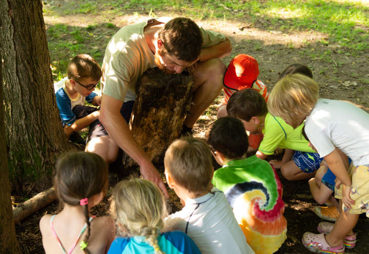 Eine Gruppe Kinder untersucht zusammen mit einem Erzieher etwas in der Natur