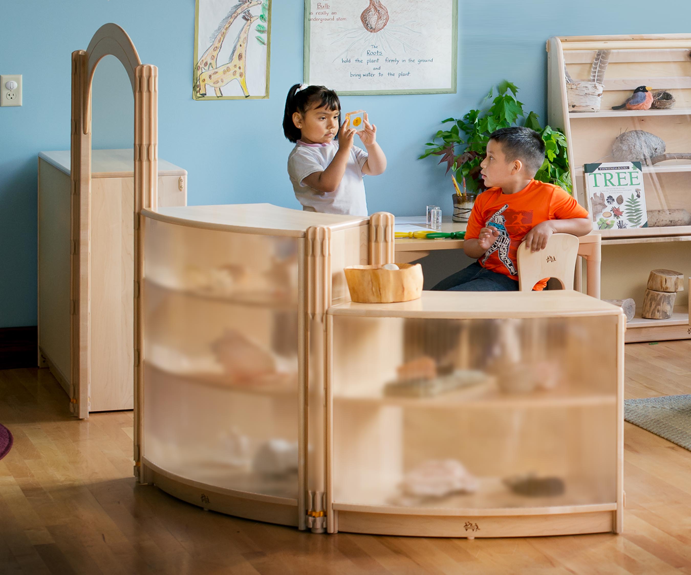 F629 Translucent back inside sweep 81 cm 1