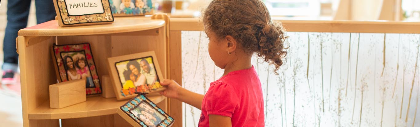 Sweep And Corner Shelves