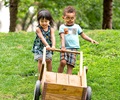 Zwei Kleinkinder schieben einen kleinen Holzschubkarren eine Wiese hinunter